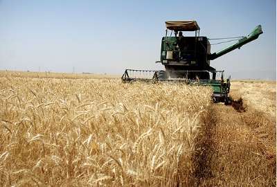 زمین کشاورزی دیم روستای چنبرغربال قوچان ۳۵۰۰ متر