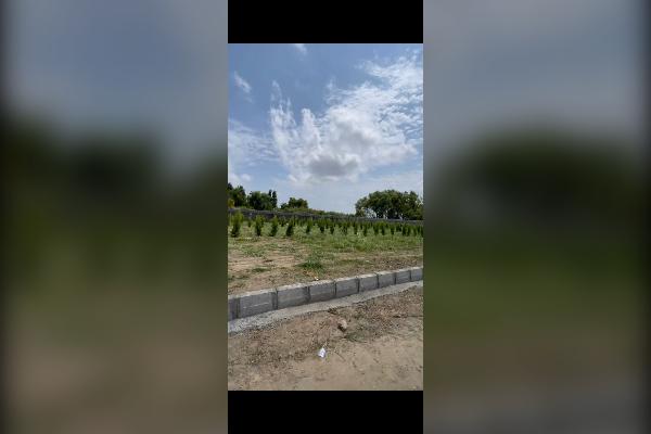 محموداباد چهارمحل سندتک برگ ۲۰۰ متر - تصویر 2