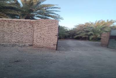 فروش باغ خرما ۴۰۰۰ متر بم روستای باغچمک