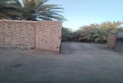 فروش باغ خرما ۴۰۰۰ متر بم روستای باغچمک