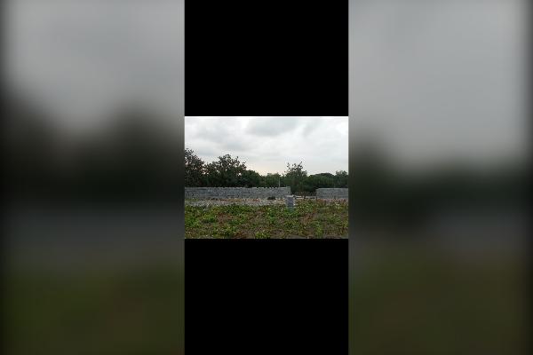 فروش زمین در شهر گتاب بابل اطاق سرا ۳۴۴ متر - تصویر 1