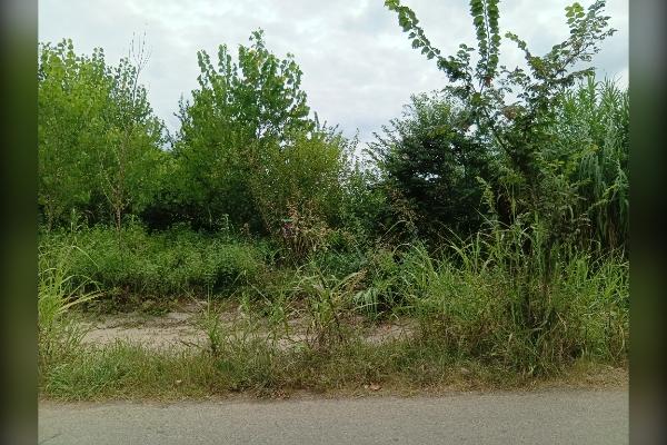 زمین مسکونی منطقه زیبا کنار ۲۱۰ متر روستای نوده - تصویر 3
