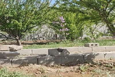 فروش باغ زیبا وپربار با آب فروان