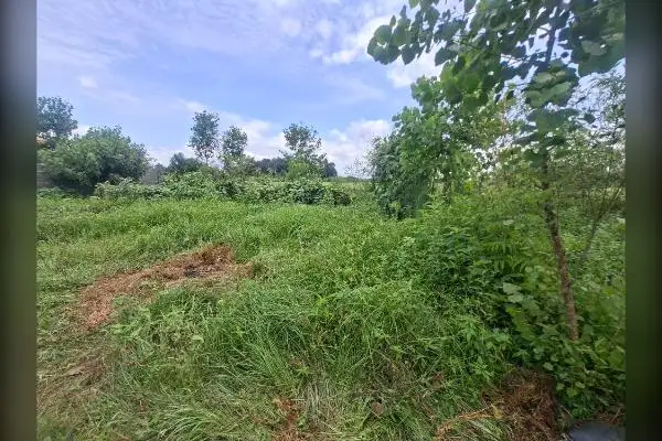 زمین مسکونی ۴۰۰ متر گیلان لاهیجان روستای لفمجان - تصویر 2