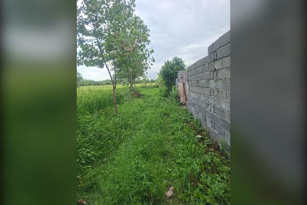 زمین مسکونی ۴۰۰ متر گیلان لاهیجان روستای لفمجان - تصویر 3