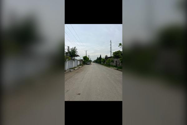 زمین ۳۸۸ متر قائمشهر کوچکسرا روستای خناردرویش - تصویر 2