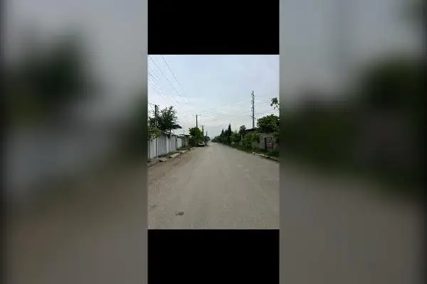 زمین ۳۸۸ متر قائمشهر کوچکسرا روستای خناردرویش - تصویر 2