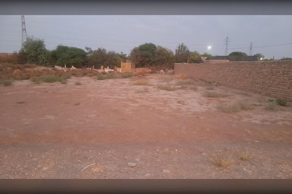 زمین زراعی ۲۵۰ متری در گل تپه کبیر - تصویر 1