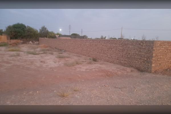 زمین زراعی ۲۵۰ متری در گل تپه کبیر - تصویر 2