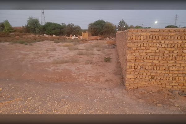 زمین زراعی ۲۵۰ متری در گل تپه کبیر - تصویر 3