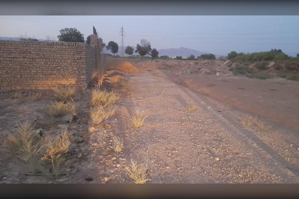 زمین زراعی ۲۵۰ متری در گل تپه کبیر - تصویر 4