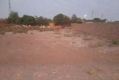 زمین زراعی ۲۵۰ متری در گل تپه کبیر
