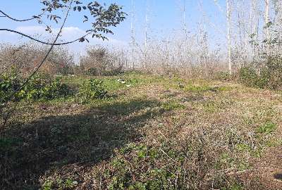 زمین مسکونی جاده رشت به فومن روستای ملاسرا