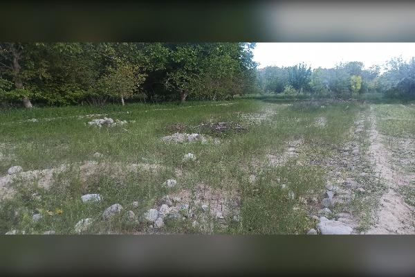 زمین زراعی با قابلیت تبدیل به ویلا ۸۹۵ متر - تصویر 3