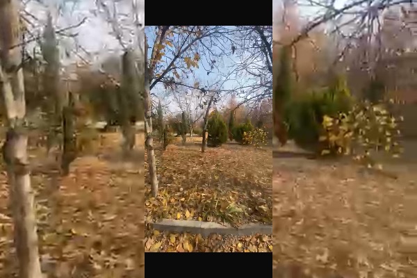 فروش باغ ۲۳۵۰ متر همراه بنا محمدشهر - تصویر 2