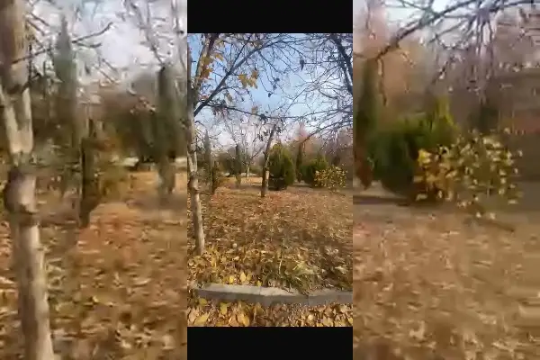 فروش باغ ۲۳۵۰ متر همراه بنا محمدشهر - تصویر 2
