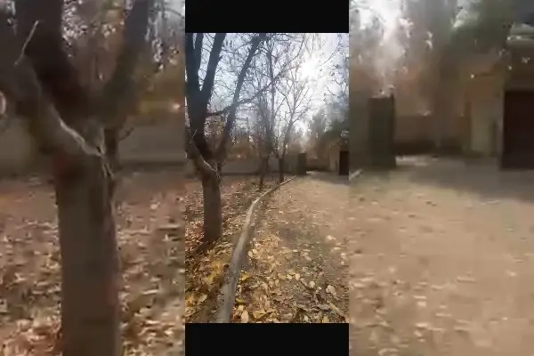 فروش باغ ۲۳۵۰ متر همراه بنا محمدشهر - تصویر 4
