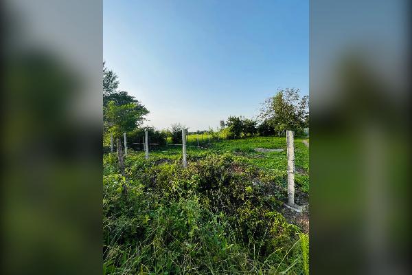 زمین دوبر مسکونی در دل طبیعت روستای سکاچا - تصویر 1