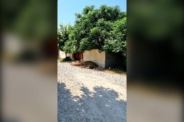 زمین مسکونی در فیروزکنده ۲۵۰ متر - تصویر 2