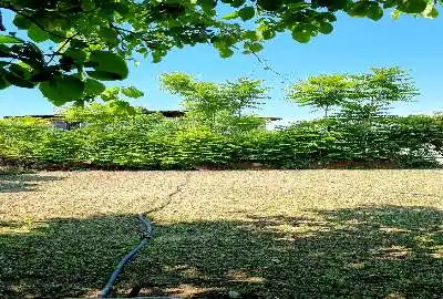 زمین مسکونی در فیروزکنده ۲۵۰ متر