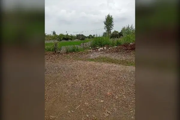 زمین ۳۵۰ متری بابل جاده قائمشهر روستای علمدار - تصویر 2
