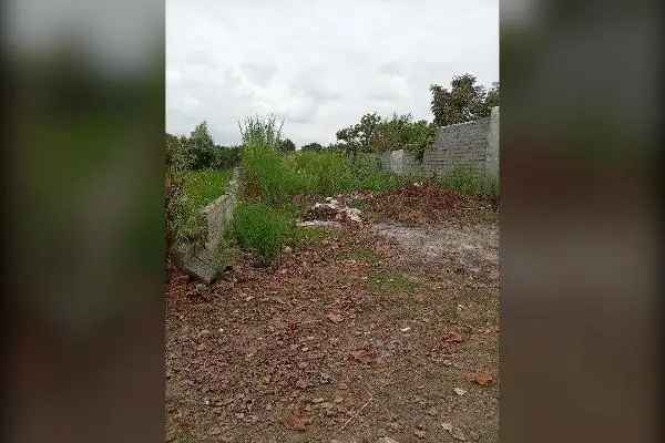 زمین ۳۵۰ متری بابل جاده قائمشهر روستای علمدار - تصویر 3
