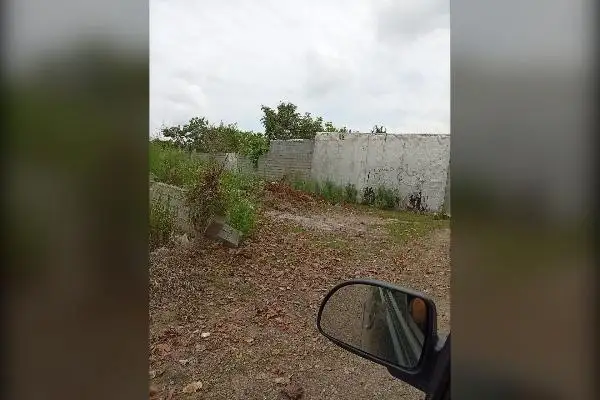 زمین ۳۵۰ متری بابل جاده قائمشهر روستای علمدار - تصویر 4