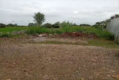 زمین ۳۵۰ متری بابل جاده قائمشهر روستای علمدار