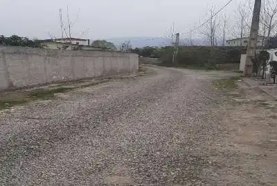 فروش زمین در بابلکنار گونه کلا ۲۶۱ متر