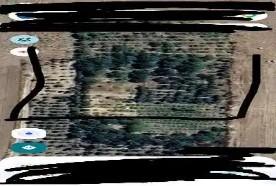 باغ واقع در روبه روی روستای چهر ۳۵۰۰ متر