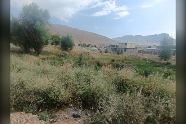 زمین باغ در روستای توریستی دیمه ۱۱۶۱ متر - تصویر 3
