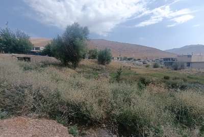 زمین باغ در روستای توریستی دیمه ۱۱۶۱ متر