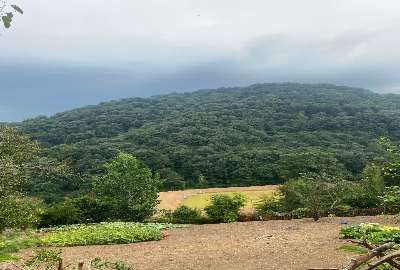 ۳۱۴ متر زمین در پهنه کلا ی ساری