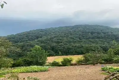 ۳۱۴ متر زمین در پهنه کلا ی ساری
