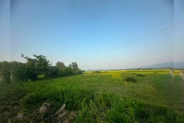 زمین در جاده سیاهکل به لاهیجان ۲۸۱۷ متر - تصویر 2