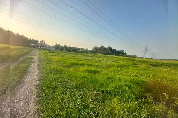 زمین در جاده سیاهکل به لاهیجان ۲۸۱۷ متر - تصویر 3