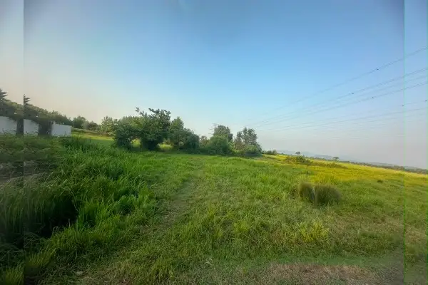 زمین در جاده سیاهکل به لاهیجان ۲۸۱۷ متر - تصویر 4