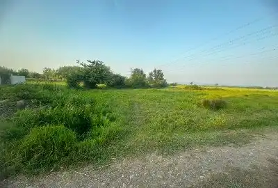 زمین در جاده سیاهکل به لاهیجان ۲۸۱۷ متر