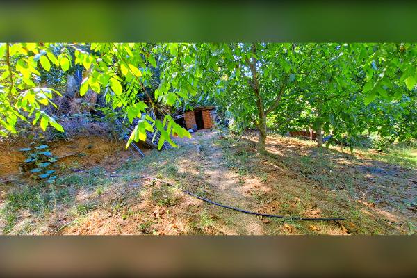 باغ میوه قیمت مناسب با آب و هوا و دسترسی عالی - تصویر 1