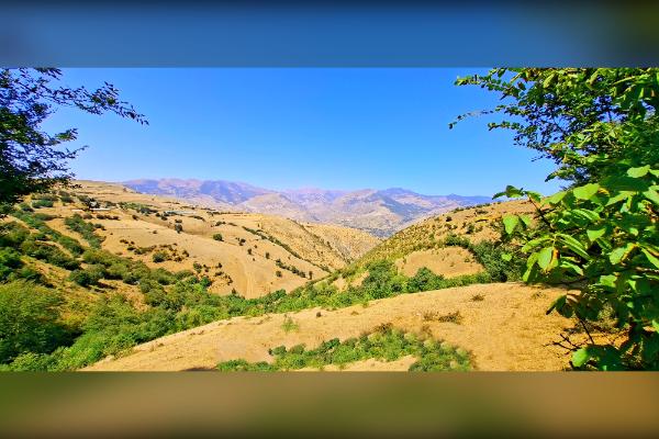 باغ میوه قیمت مناسب با آب و هوا و دسترسی عالی - تصویر 4