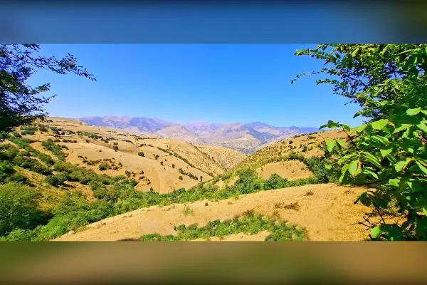 باغ میوه قیمت مناسب با آب و هوا و دسترسی عالی - تصویر 4