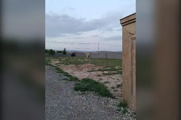 زمین باغ ۱۰۰۰ متر روستای گمیزدر - تصویر 2