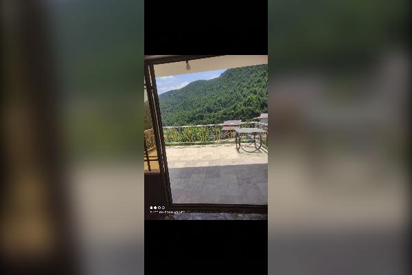 باغ با چهل تا درخت گردو ۲۰۰۰ متر الاشت روستای کارمزد - تصویر 2