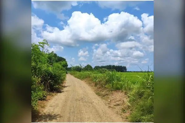 زمین باغی ۵۰۰ متر دریاسر گلسفید روستای فتیده - تصویر 3