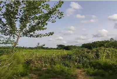زمین باغی ۵۰۰ متر دریاسر گلسفید روستای فتیده