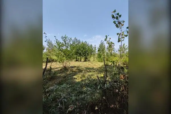 زمین ۵۰۰ متر در روستای پشتیر - تصویر 1