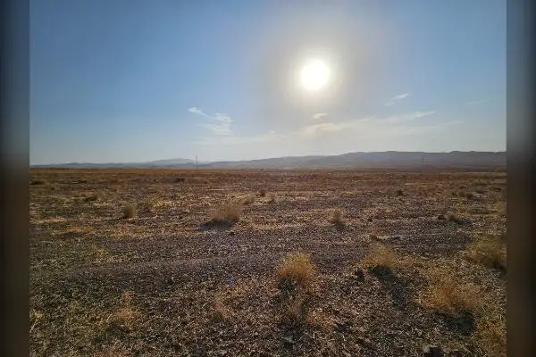 زمین زراعی و باغی ۱۵ هکتار جاده ساوه به بوئین زهرا - تصویر 3
