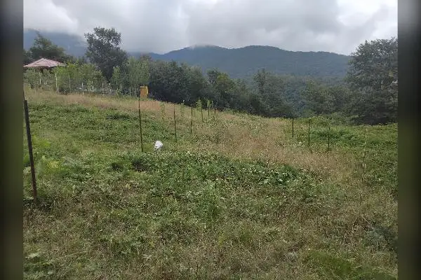 زمین در گردنه حیران روستای حاج امیر - تصویر 1