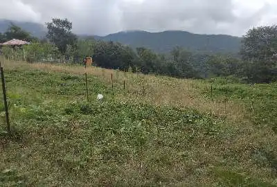 زمین در گردنه حیران روستای حاج امیر