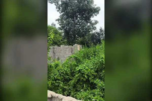 زمین مسکونی ۱۵۵ متر دو بر دهکده زیبای سیاهمزگی - تصویر 3
